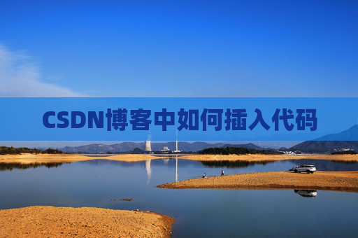 CSDN博客中如何插入代码